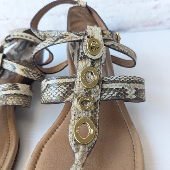 Coach Snake Print Sandals with Gold Accents - Picture 2 of 12
